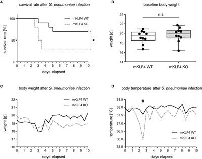 Frontiers Krueppel Like Factor Expression In Phagocytes Regulates